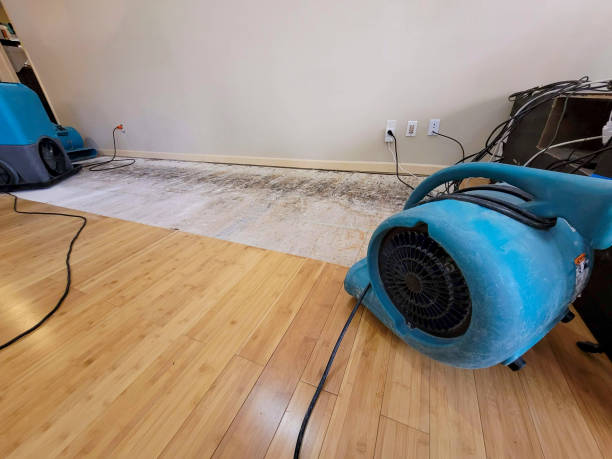 Professional Ceiling Water Damage Repair technician working in Waverly, IL