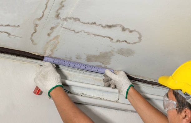 Affordable Ceiling Water Damage Repair solutions in Waverly, IL
